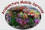 ACUPUNCTURE MOBILE SERVICES
